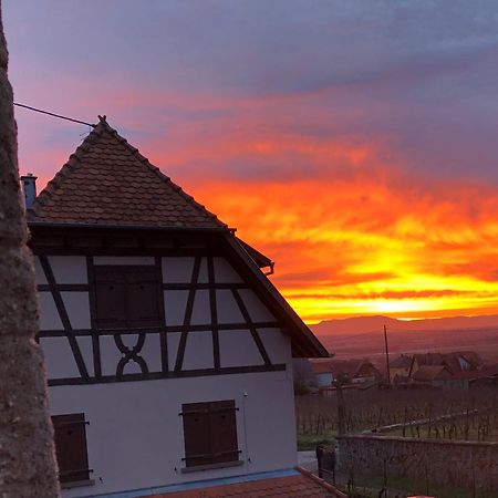 Villa Beck Domaine Du Rempart Dambach Exterior foto